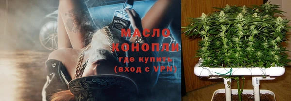 твердый Инта