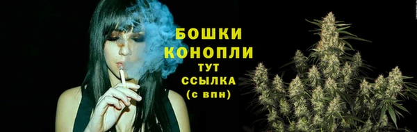 молекула духа Заволжье