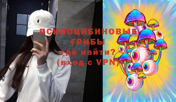 молекула духа Заволжье
